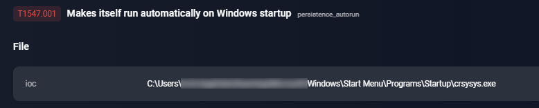 Ensuring persistence in the target system for the payload